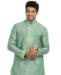 Picture of Radiant Green Kurtas