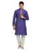 Picture of Resplendent Purple Kurtas