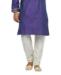 Picture of Resplendent Purple Kurtas