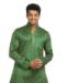 Picture of Well Formed Green Kurtas