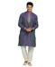 Picture of Gorgeous Purple Kurtas