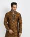 Picture of Comely Brown Kurtas