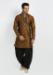 Picture of Comely Brown Kurtas