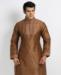 Picture of Pleasing Brown Kurtas