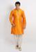 Picture of Exquisite Orange Kurtas