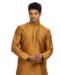 Picture of Well Formed Brown Kurtas