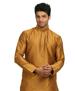 Picture of Well Formed Brown Kurtas