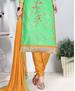 Picture of Charming Spring Green Cotton Salwar Kameez