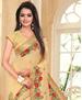 Picture of Superb Beige Designer Saree