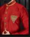 Picture of Alluring Marron Sherwani