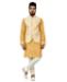 Picture of Pleasing Golden Yellow Kurtas