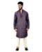 Picture of Elegant Multi Kurtas