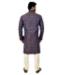 Picture of Elegant Multi Kurtas