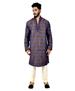 Picture of Elegant Multi Kurtas