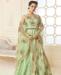 Picture of Magnificent Pista Green Readymade Gown