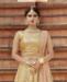 Picture of Sublime Golden Lehenga Choli