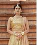 Picture of Sublime Golden Lehenga Choli