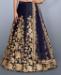 Picture of Beautiful Navy Blue Lehenga Choli