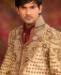 Picture of Radiant Gold Sherwani