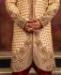 Picture of Radiant Gold Sherwani