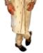 Picture of Resplendent Gold Cream Sherwani