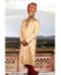 Picture of Delightful Gold Sherwani