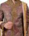 Picture of Graceful Multi Sherwani