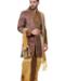 Picture of Graceful Multi Sherwani