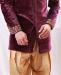 Picture of Ideal Rich Razzleberry Sherwani