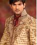 Picture of Radiant Gold Sherwani