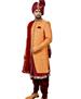 Picture of Admirable Rajah Sherwani