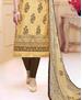 Picture of Enticing Beige Cotton Salwar Kameez