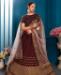 Picture of Classy Brown Lehenga Choli