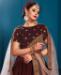 Picture of Classy Brown Lehenga Choli