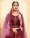 Picture of Nice Maroon Lehenga Choli