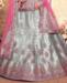 Picture of Pleasing Steel Grey Lehenga Choli