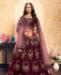 Picture of Resplendent Wine Lehenga Choli