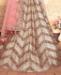 Picture of Pretty Light Beige Lehenga Choli