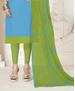 Picture of Shapely Sky Blue Straight Cut Salwar Kameez