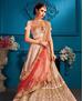 Picture of Well Formed Light Peach Lehenga Choli