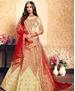 Picture of Alluring Cream Lehenga Choli