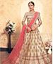 Picture of Magnificent Cream Lehenga Choli