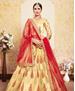 Picture of Sightly Yellow Lehenga Choli