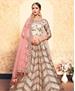 Picture of Pretty Light Beige Lehenga Choli