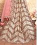 Picture of Pretty Light Beige Lehenga Choli