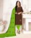 Picture of Beauteous Brown Cotton Salwar Kameez