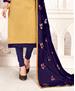 Picture of Ideal Beige Cotton Salwar Kameez