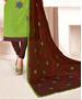 Picture of Good Looking Green Cotton Salwar Kameez