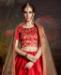 Picture of Well Formed Red Lehenga Choli