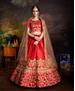 Picture of Well Formed Red Lehenga Choli